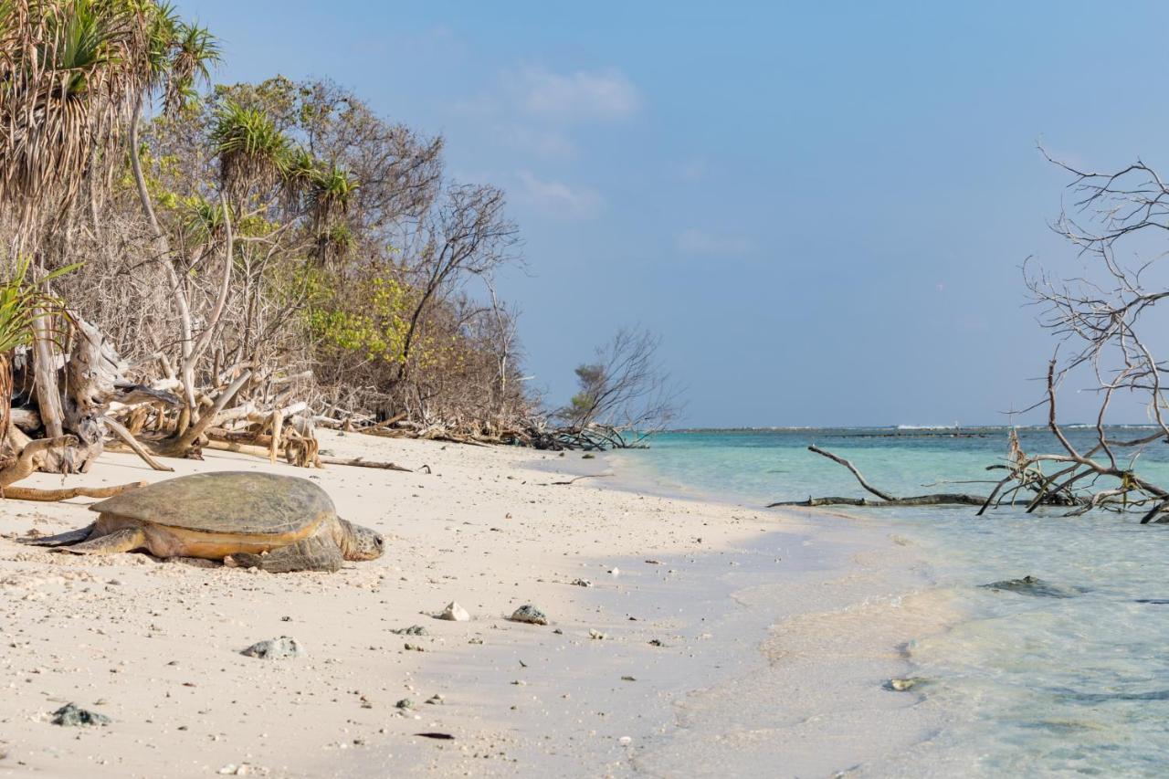 Soneva Jani Hotel Manadhoo Luaran gambar
